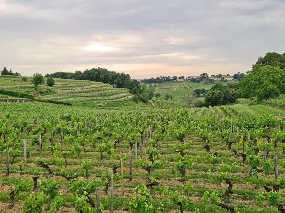 Maison Cosy Avec Vue Sur Les Vignes. Libourne Exterior photo