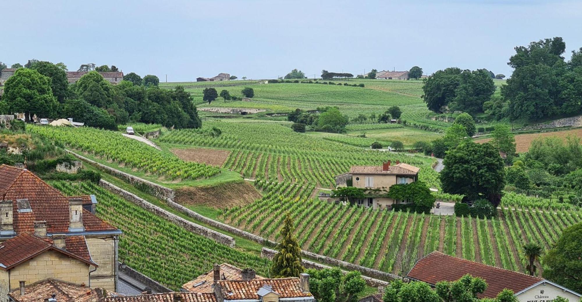 Maison Cosy Avec Vue Sur Les Vignes. Libourne Exterior photo