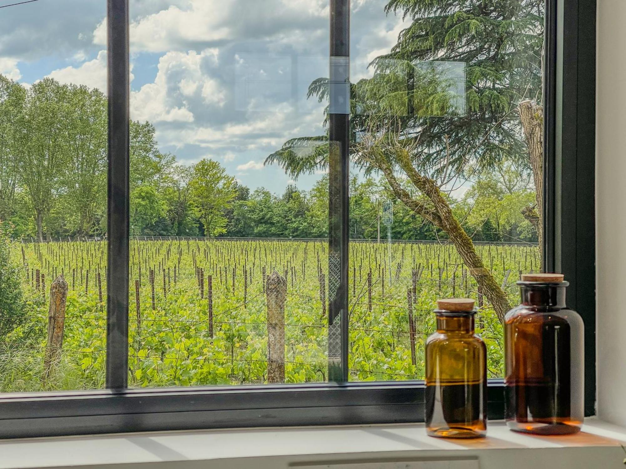 Maison Cosy Avec Vue Sur Les Vignes. Libourne Exterior photo